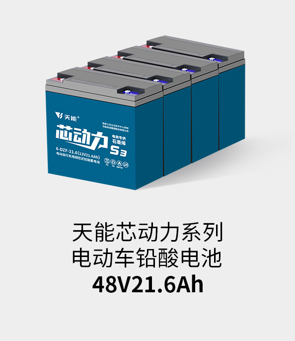 优德88电池48v20ah