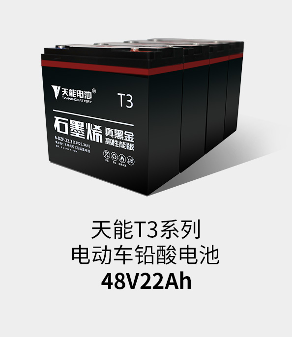 优德88T3系列48v22ah